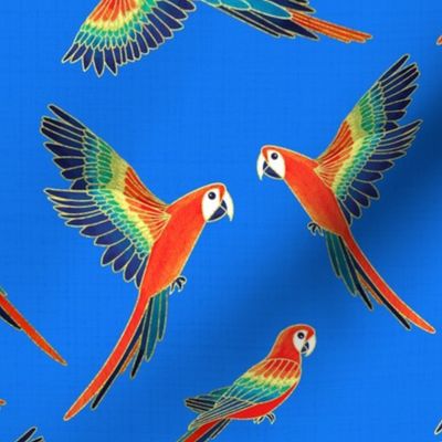 Red Macaws - Electric Blue  (Large Version - Coordinate Pattern)