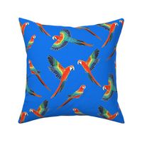 Red Macaws - Electric Blue  (Large Version - Coordinate Pattern)