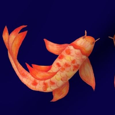 Goldfish on Navy Background
