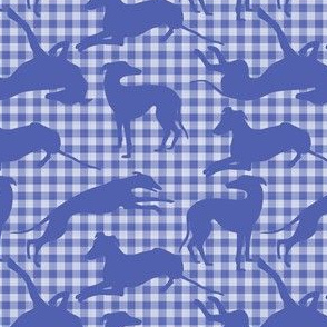 Greyt Gingham Greyhounds on Blue