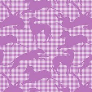 Greyt Gingham Greyhounds on Pink