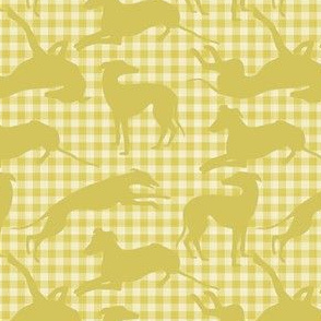 Greyt Gingham Greyhounds on Yellow
