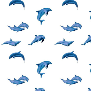 Dolphins pattern 