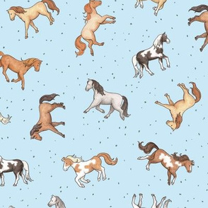 Scattered Horses spotty on light blue - medium scale