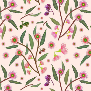 Eucalyptus Blossom - shell pink, medium 