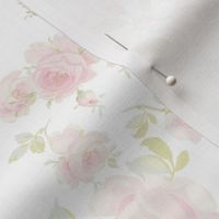 Saint Colette June Roses white faded