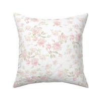 Saint Colette June Roses white faded