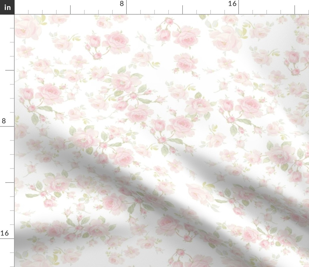 Saint Colette June Roses white faded