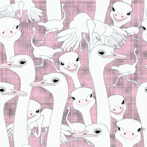 Smiling ostriches on pink toile