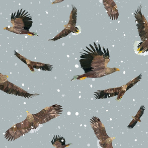 Eagles in snow - improved