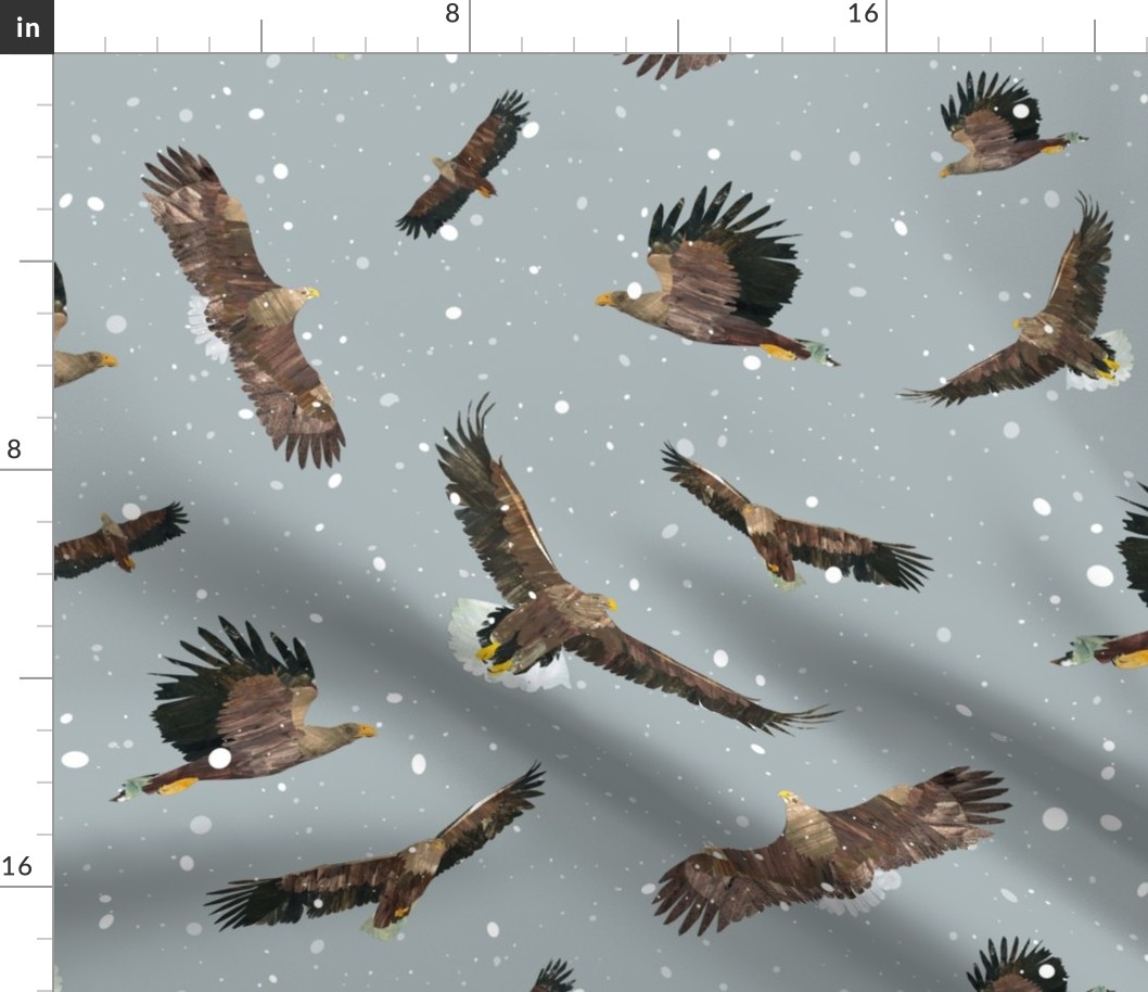 Eagles in snow - improved