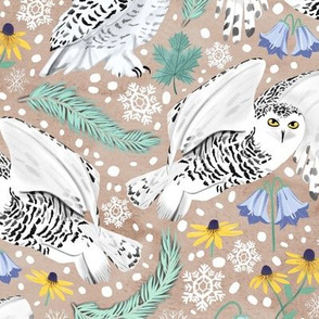 Snowy Owls on a Snowy Day - Beige Background