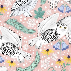 Snowy Owls on a Snowy Day - Pink Background