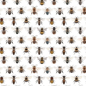 Small Scale Version of a Collection of Bees