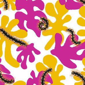 Caterpillars Matisse - Pink Yellow