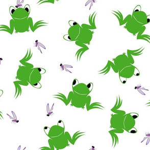 frogs and flies on white
