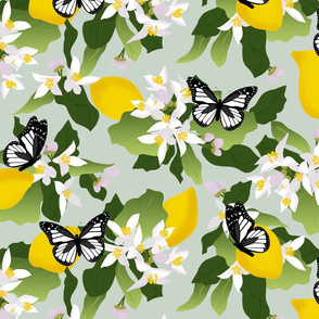 Lemon Blossom Butterflies Soft Green
