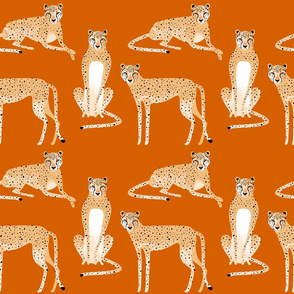 Pretty Cheetahs burnt orange small