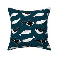 Belugas & Orcas on Navy - Large