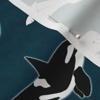 Belugas & Orcas on Navy - Large