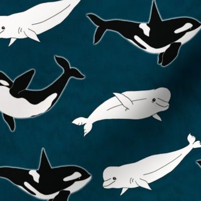 Belugas & Orcas on Navy - Large