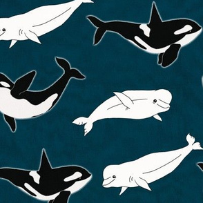 Belugas & Orcas on Navy - Large