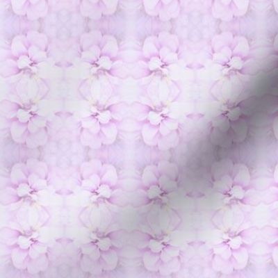Zinnia Pop Art- lavender
