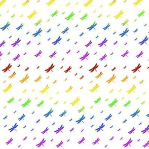 Rainbow Dragonflies
