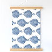 Vintage Illustration Flounder Fish- white and blue