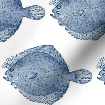 Vintage Illustration Flounder Fish- white and blue