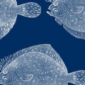Vintage Illustration Flounder Fish- Blue and White