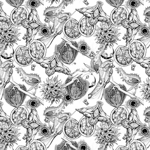 Surreal Botany Composite in B&W