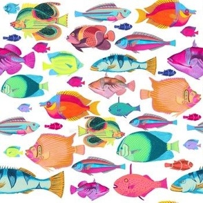 Colorful Vintage Fish