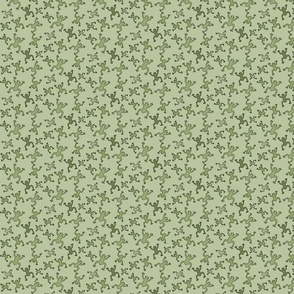 PR coqui pattern olive