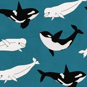 Belugas & Orcas on Teal - Large