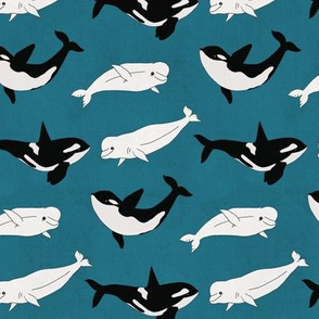 Belugas & Orcas on Teal - Small