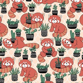 Red Panda & Potted Succulent Party - small