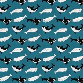 Belugas & Orcas on Teal - Tiny