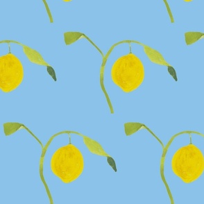 lemon drop big-blue