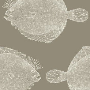 Vintage Illustration Flounder Fish- dark taupe