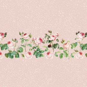 Vintage Roses Pink Border