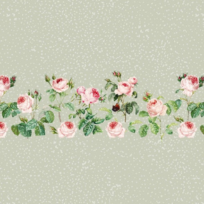 Vintage Roses Green Border