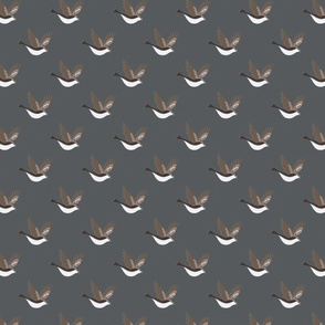 Sparrow Textured Grey