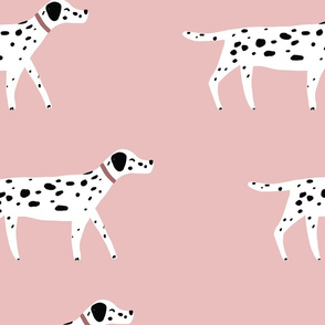 Dalmation Pattern with Pink Background