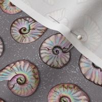 Iridescent Ammonites - Fossil Pattern