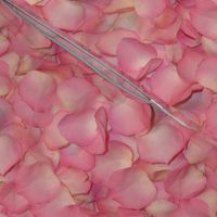 Rose's Petals