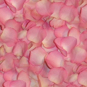 Rose's Petals