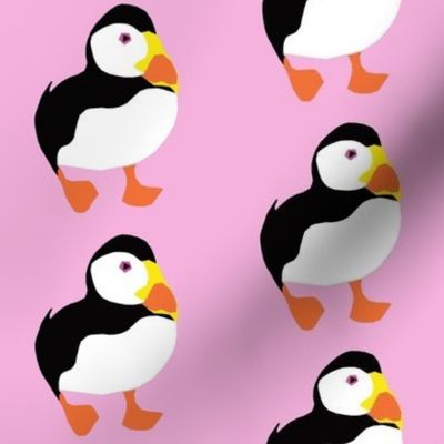 Pink puffins (large)