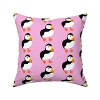 Pink puffins (large)