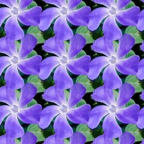 Periwinkle print 2